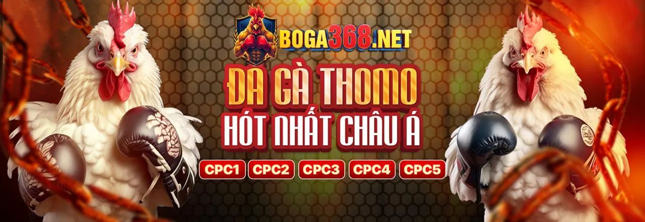 Đội ngũ hỗ trợ khách hàng chuyên nghiệp của i9bet141 chính thức
