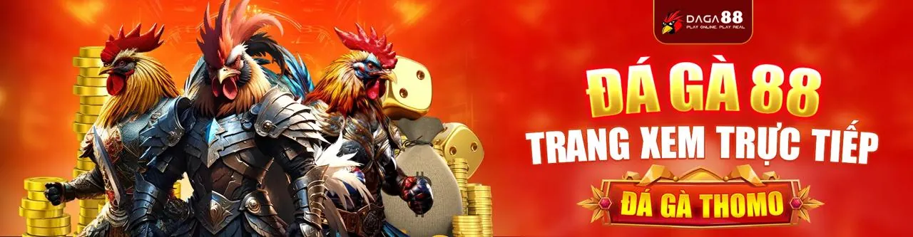 Tổng quan các cấp độ VIP i9bet141 chính thức