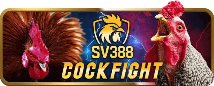 Cá cược thể thao i9bet141 chính thức